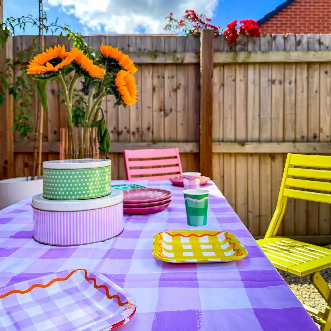 Gingham Plates (12 Pack) - Image 3